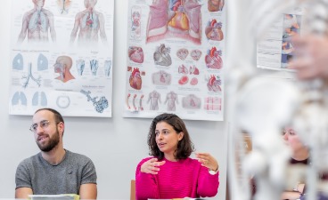 Unterricht Medizin Organe 