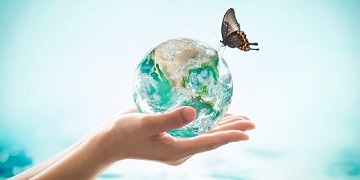 Berufsinfotag am 13. Februar 2020 Berufsinfotag 2020 an der Fremdsprachenschule